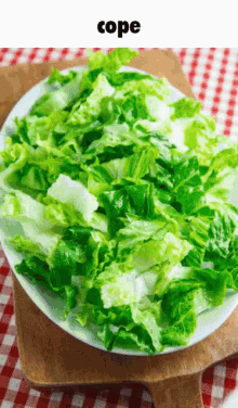 Cobb Salad GIF - Cobb Salad Cope GIFs