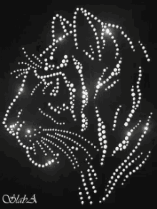 art tiger design animation