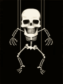 Tengkorak Gantungan GIF - Skull Skeleton Bones GIFs