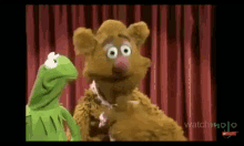 The Muppets Kermit The Frog GIF - The Muppets Kermit The Frog Talking GIFs