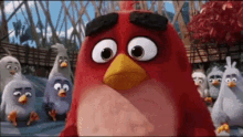 Angry Birds Pluck My Life GIF - Angry Birds Pluck My Life GIFs