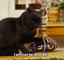 I Will Not Be Ignored! GIF - Salem Cat Demands GIFs