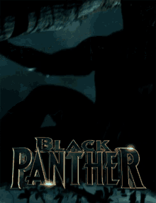 realpanther2