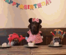Dog Birthday GIF - Dog Birthday GIFs