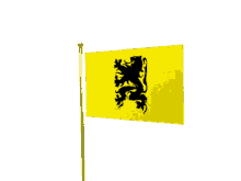 flag vlag
