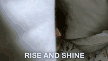 Rashamidesai Rise GIF - Rashamidesai Rise And GIFs
