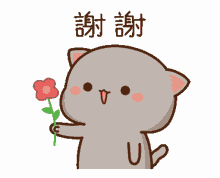 flower for you cat flower cute cat mochi mochi peach cat