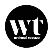 Pets Rescue Pets Sticker - Pets Rescue Pets Pet Rescue Stickers