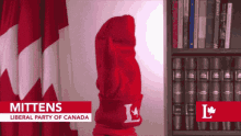 Mittens, Liberal Party Of Canada GIF - Canada Liberal Party Mittens GIFs
