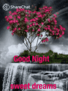 Good Night Sweet Dreams GIF - Good Night Sweet Dreams Waterfalls GIFs