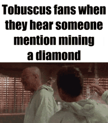 Tobuscus Mine The Diamond GIF - Tobuscus Mine The Diamond Tobuscus Fans GIFs