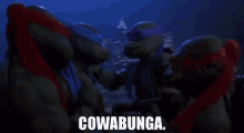 the cowabunga