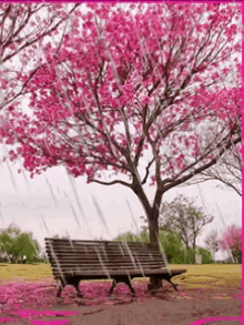 Raining Cherry Blossoms GIF - Raining Cherry Blossoms GIFs