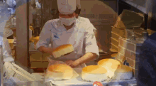 Japanese Bread GIF - Japanese Bread Cheese Cake GIFs