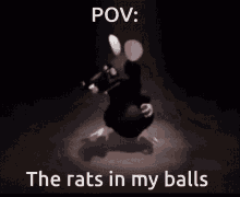 Rats In My Balls Funny GIF - Rats In My Balls Funny Rat GIFs