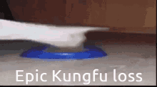 Kungfu Kungfugloves GIF - Kungfu Kungfugloves Cat GIFs