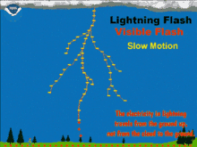 Lightning Lightning Facts GIF - Lightning Lightning Facts Facts GIFs