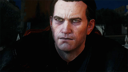 The Witcher GIF - The Witcher Videogame - Discover & Share GIFs