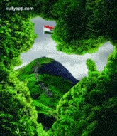 No Borders To Freedom Now.Gif GIF - No Borders To Freedom Now India National Flag GIFs