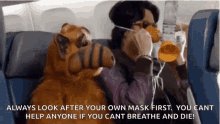 Save Yourself GIF - Save Yourself Face GIFs