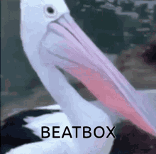 Beatbox GIF - Beatbox GIFs