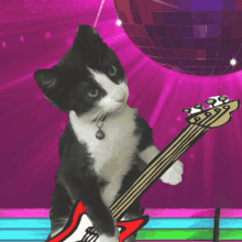 Rock And Roll Cat GIF - Rock And Roll Cat Playing Guitar GIFs