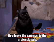 Sarcasm Salem The Cat GIF - Sarcasm Salem The Cat Black Cat GIFs