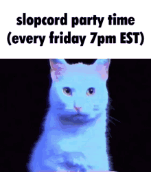 Slopcord Discord GIF - Slopcord Discord Server GIFs