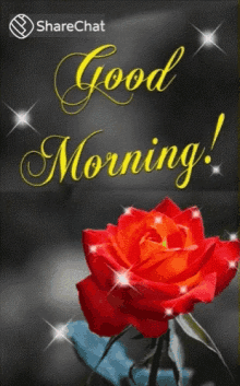 Good Morning Rose GIF - Good Morning Rose Stars GIFs
