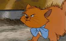 Angry Cat GIF - Angry Cat Toulouse GIFs