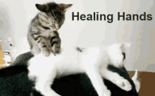 Healing Hands GIF - Healing Hands GIFs