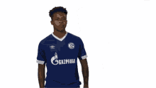 s04 schalke bundesliga football soccer s04 schalke bundesliga football soccer