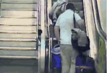 Fail Airport GIF - Fail Airport This Is My Life Now GIFs
