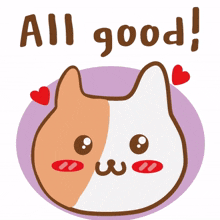 animal kitty cat cute good animal kitty cat cute good
