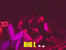 Big L Party GIF - Big L Party Concert GIFs