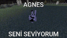 Agnes Minecraft GIF - Agnes Minecraft Tavşan GIFs