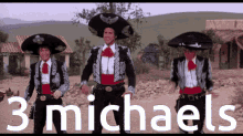 3michaels GIF - 3michaels Michaels GIFs
