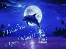 Good Night Moon Light GIF - Good Night Moon Light Dolphin GIFs