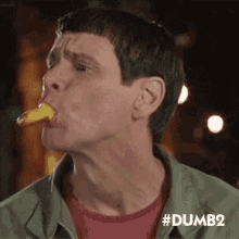 Dumband Dumber Jim Carrey GIF - Dumband Dumber Jim Carrey Hotdog GIFs