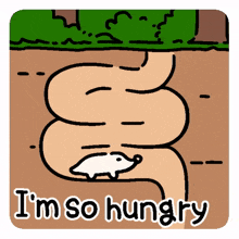 starve starving hangry starved hungry starve starving hangry starved hungry