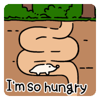 Starve Starving Sticker - Starve Starving Hangry Stickers