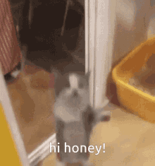 Hi Honey Honey GIF - Hi Honey Honey Honeydew GIFs