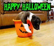 Happy Halloween Dogs GIF - Happy Halloween Dogs Cute GIFs