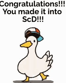 sc d scientific department scpf duck