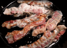 Bacon Bae GIF - Bacon Bae GIFs