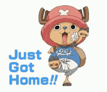 Brody We Are Home GIF - Brody We Are Home One Piece GIFs