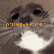 Boob Based Meme GIF - Boob Based Meme Based Shitpost GIFs