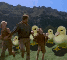 Ducks Running GIF - Ducks Running Chasing GIFs