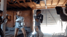 boxing punching training sparring exercise