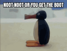 Noot Boot GIF - Noot Boot Penguin GIFs